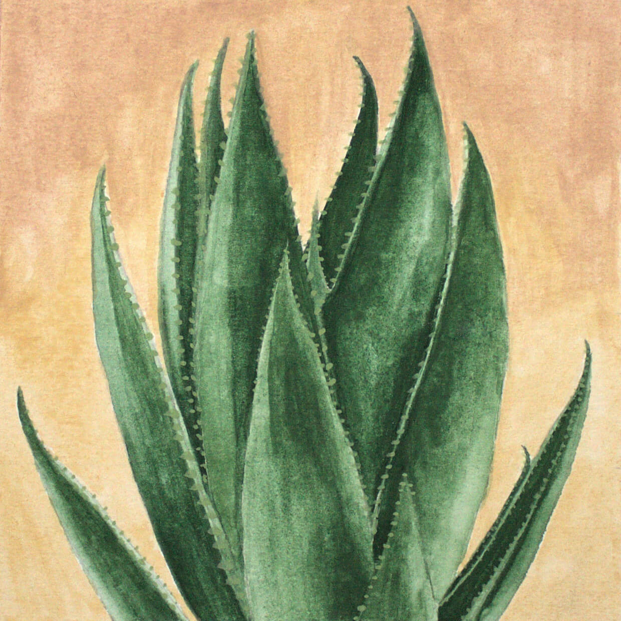 Desert Life 1