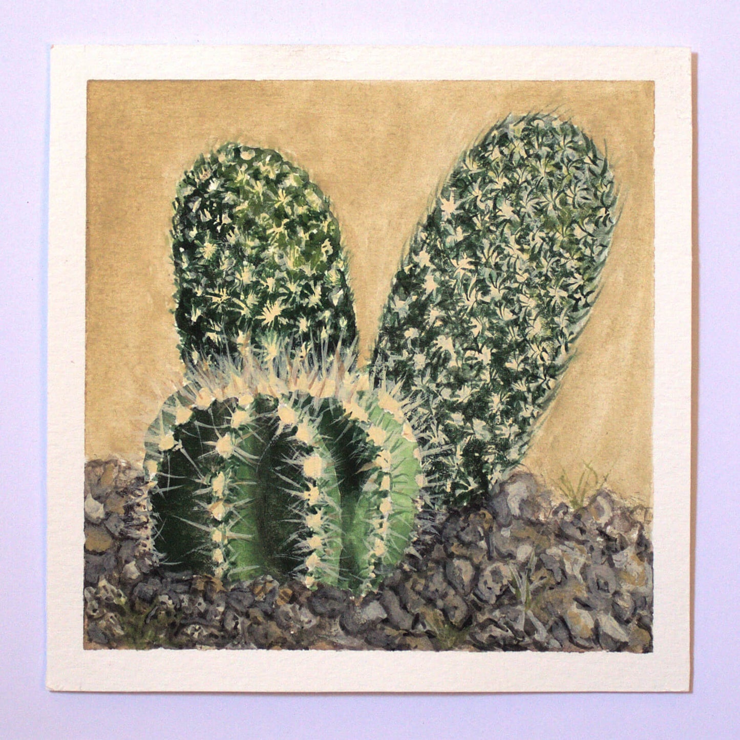 Desert Life 2