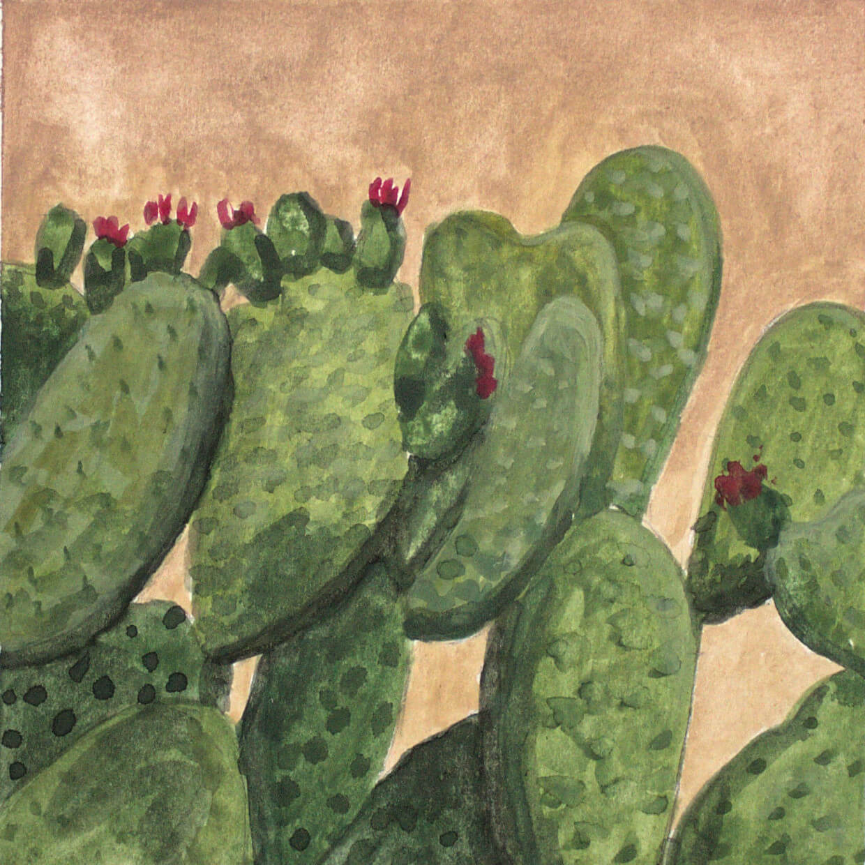Desert Life 4