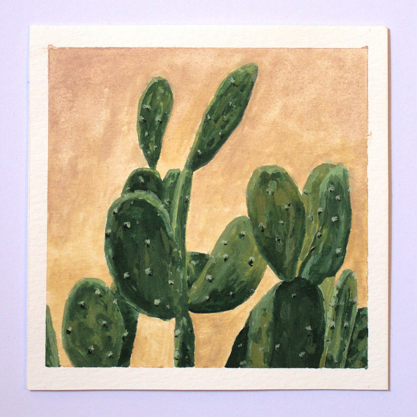 Desert Life 5