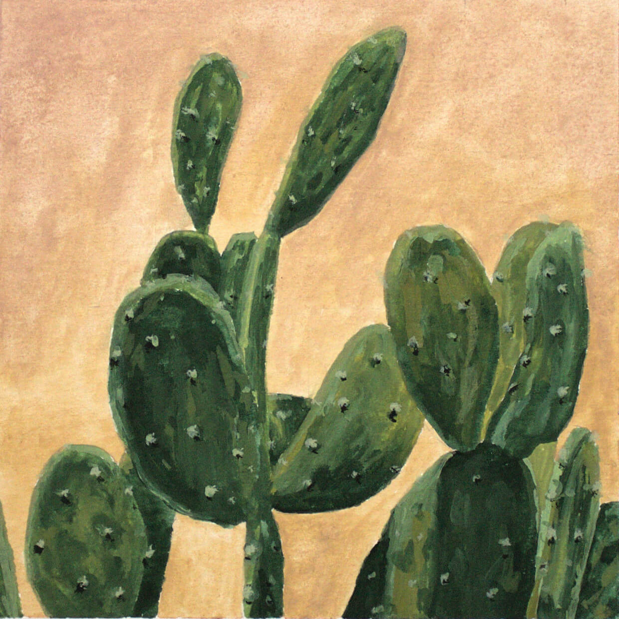 Desert Life 5