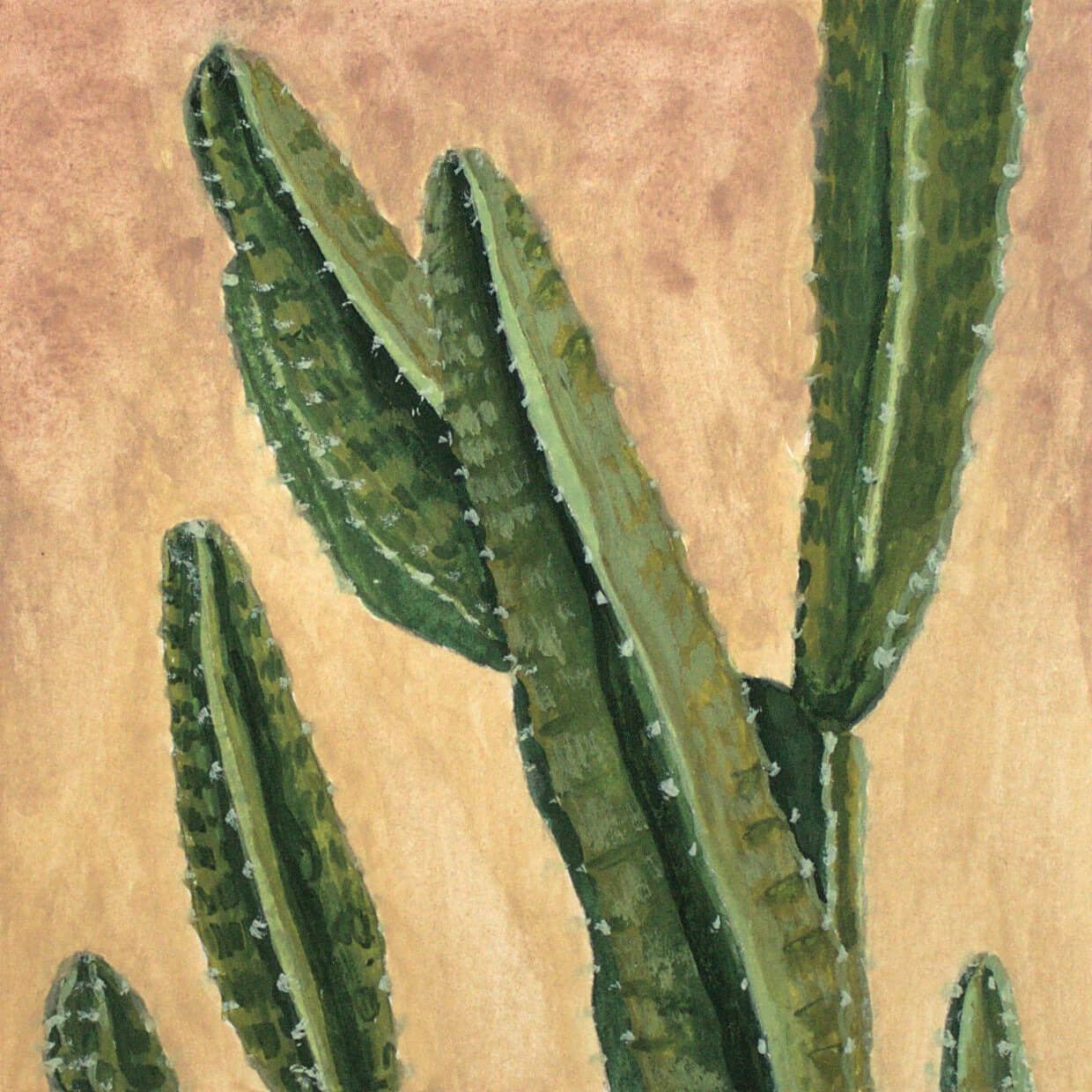 Desert Life 6