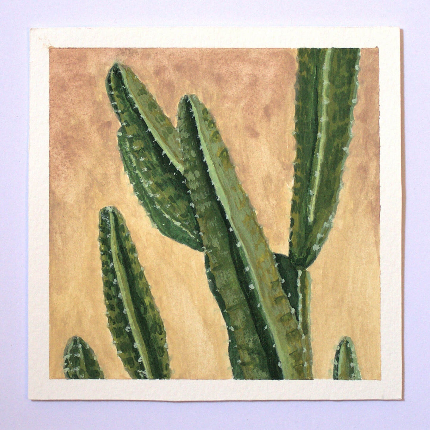 Desert Life 6