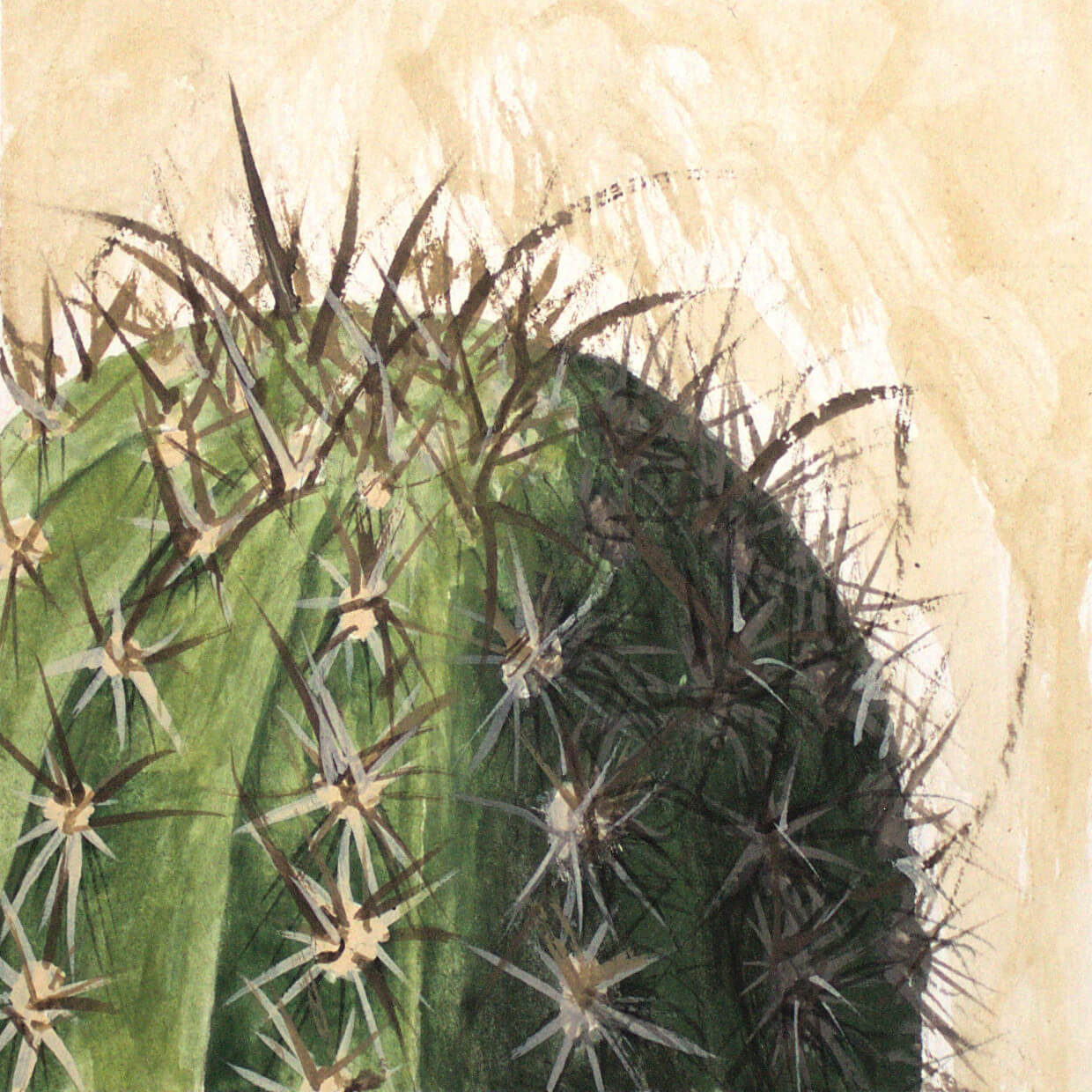 Desert Life 7