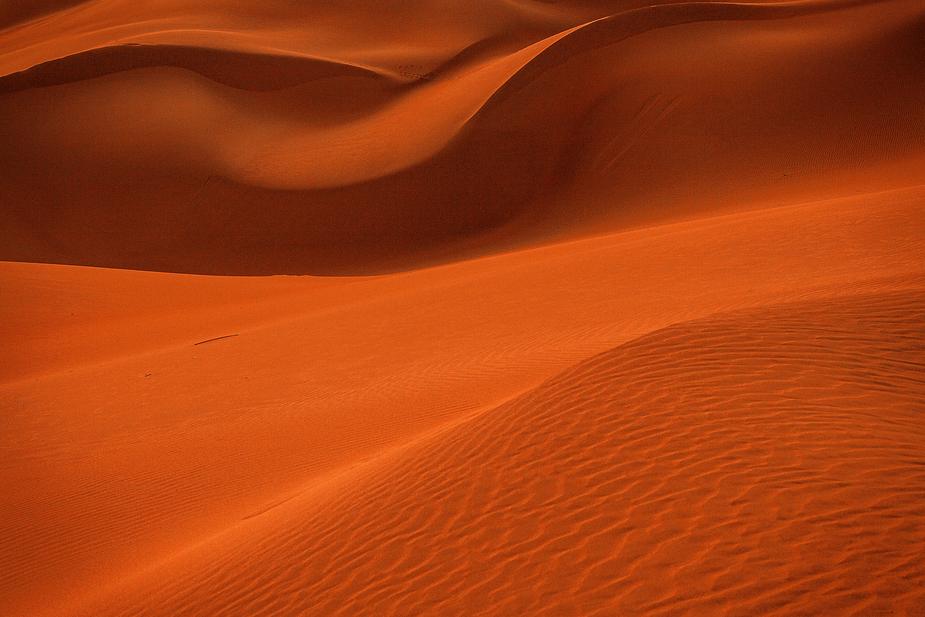The Dune